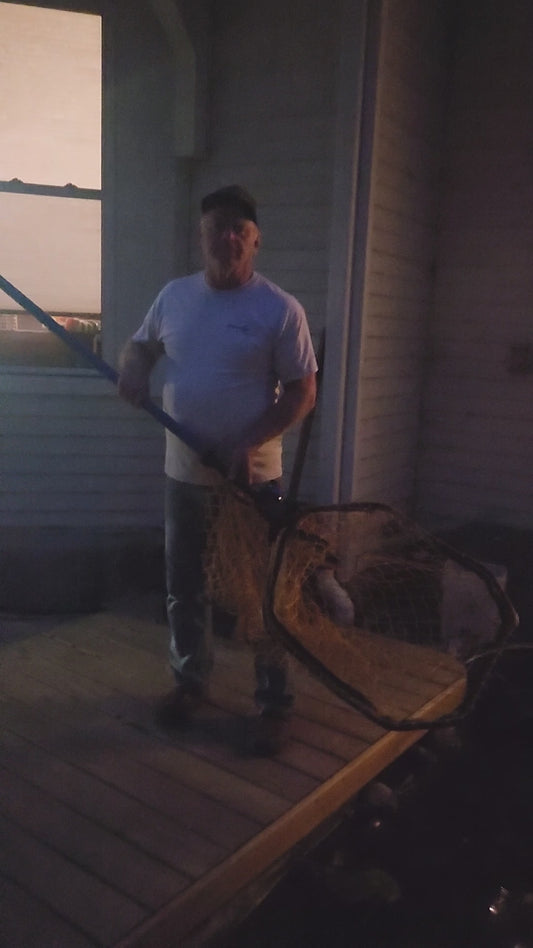 Landing Net Light
