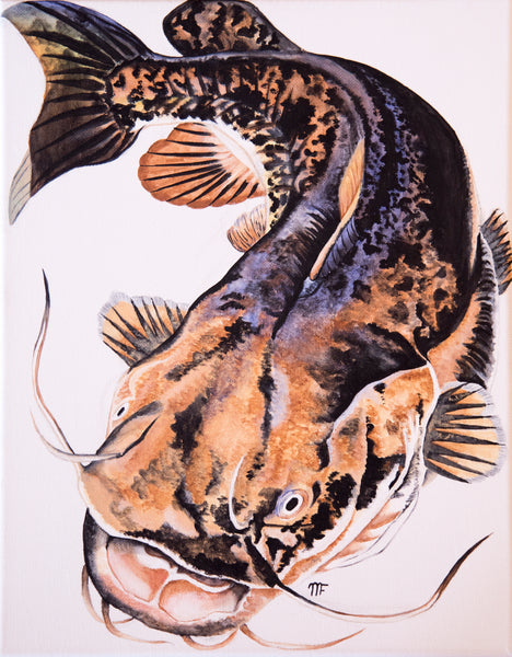 Reels – Mondocat - Fish Big or Go Home