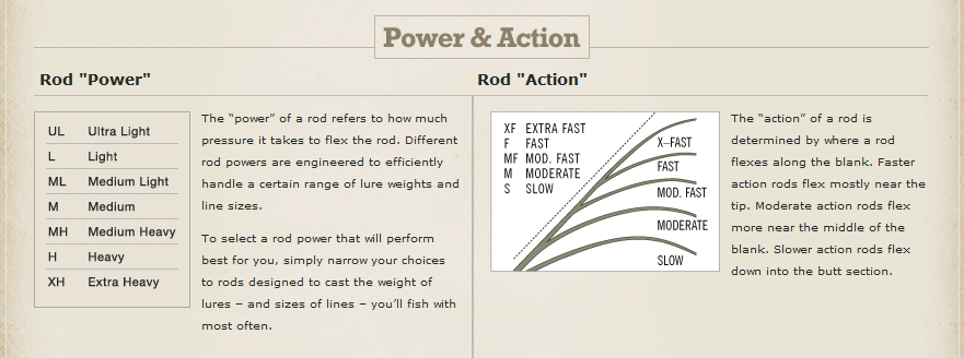 Power and Action of Fishing Poles