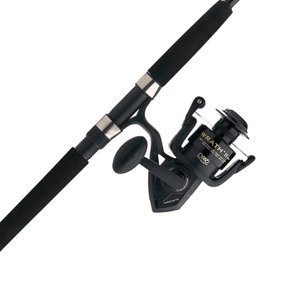 Penn rod & reel combo
